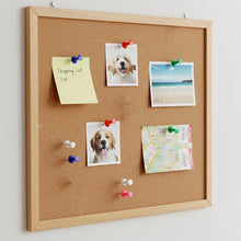 Office Stationery Clips and Pins Combo, 1 Set